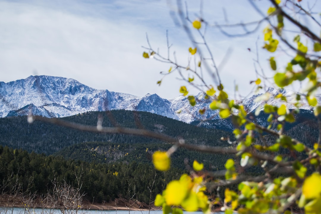Colorado Spring Events Calendar: Music, Film, and Cultural Festivals