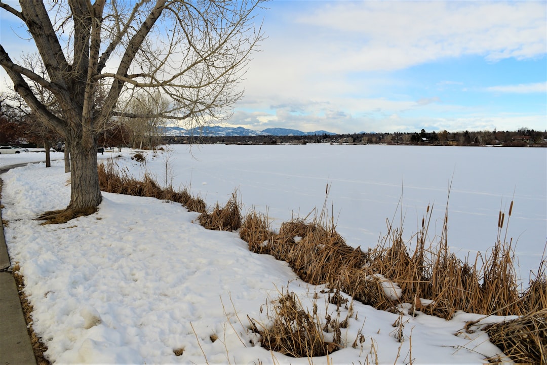 Neighbors Pitch In as Denver Cleans Up After Heavy May Snow