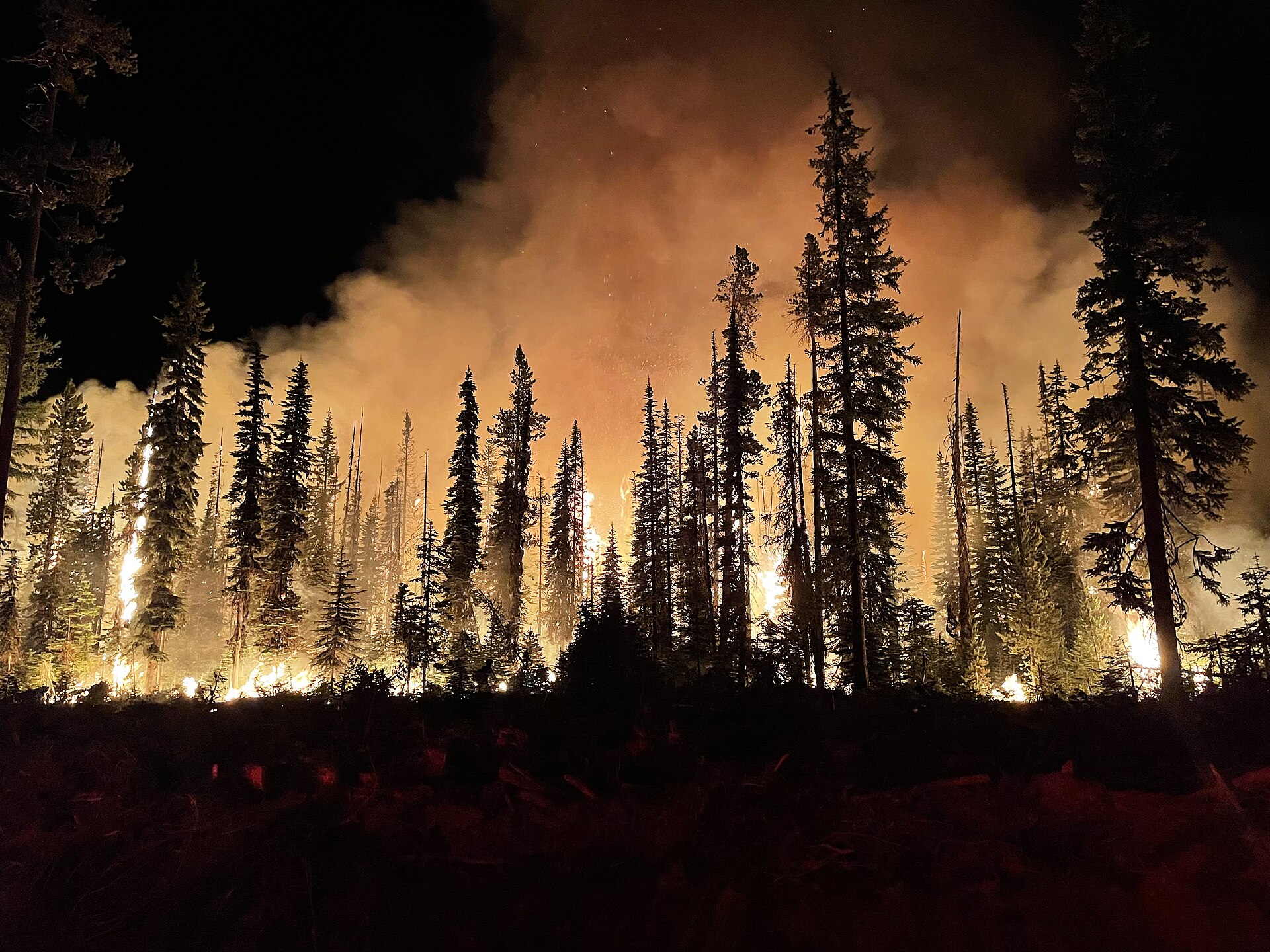 Southwest Metro Wildfire Erupts Amid Denver's Record Heat Wave