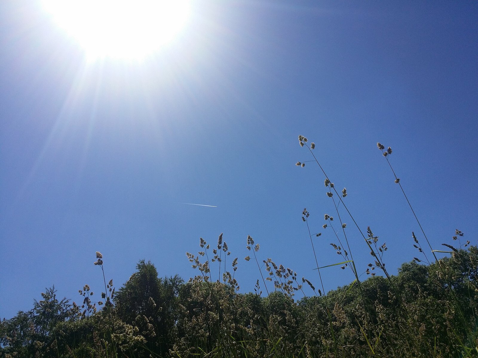 Cooling Centers, Check-Ins: Denver Community Response to Heat Wave