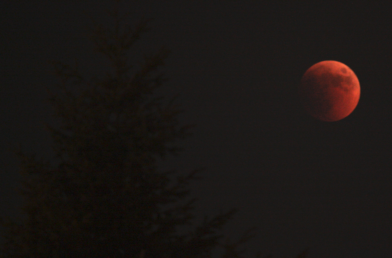 Blood Moon Lunar Eclipse Draws Front Range Skywatchers Outside