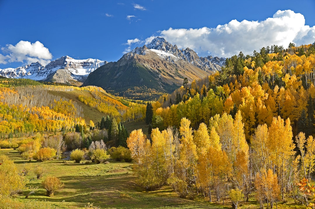 Colorado Fall Colors 2026: Peak Foliage Dates and Best Spots